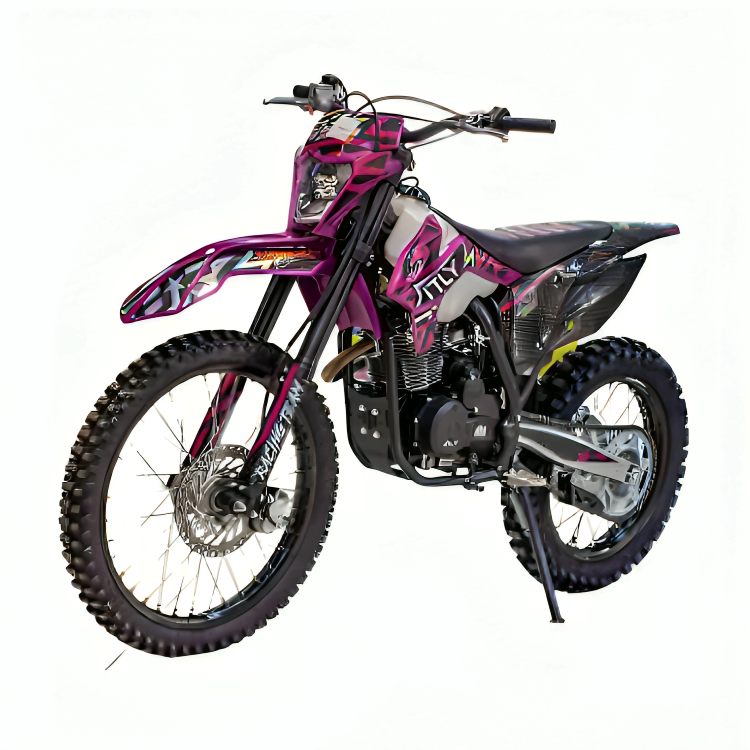 Air Cooled Offroad 250cc Dirt Bike, 4 Stroke Adult Pit Bike | Renco ...