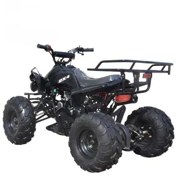150cc ATV Quad Bike For Adult And Teenage Max Speed 65(km/h).